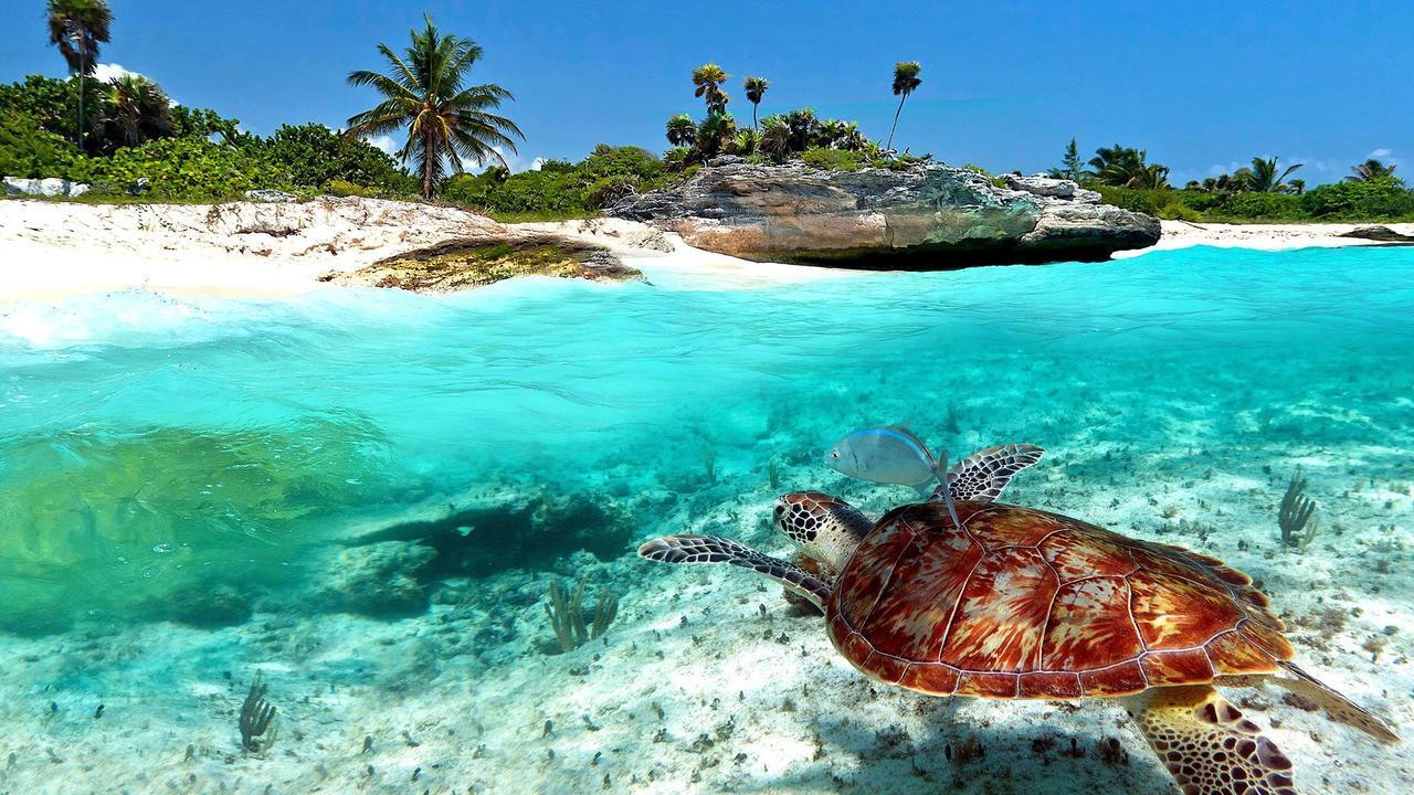 Naay Bej Hotell Tulum Exteriör bild
